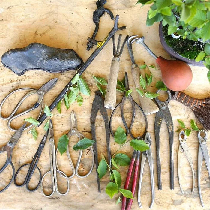 Bonsai Tools Explained