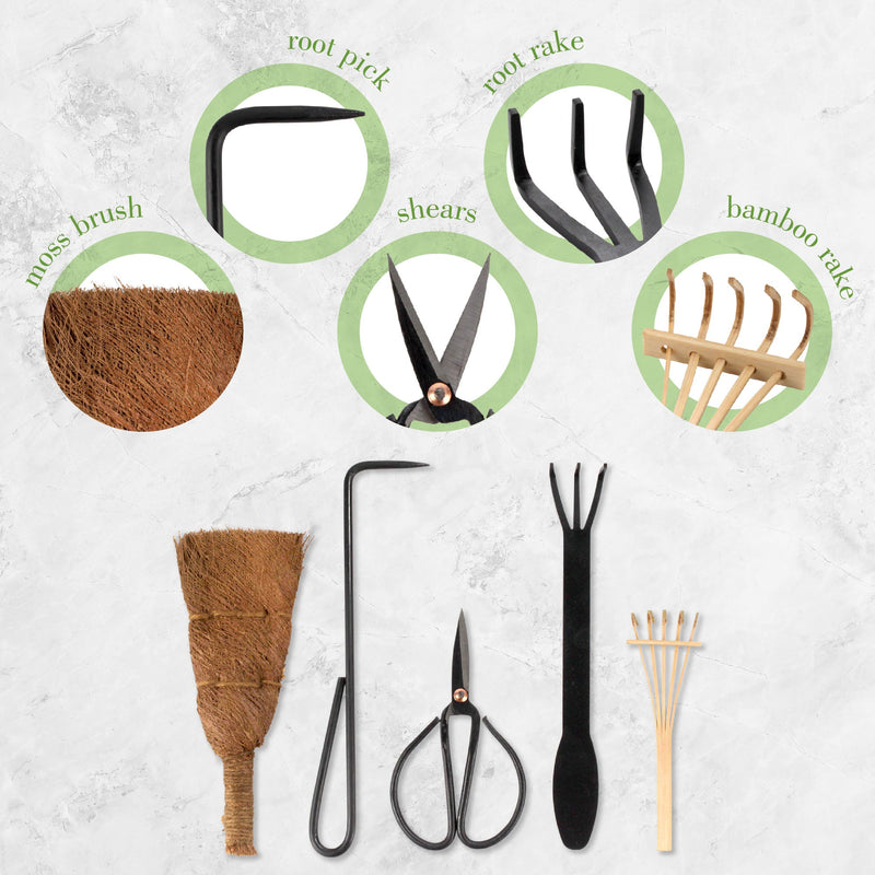 Bonsai 5pc Basic Care Set